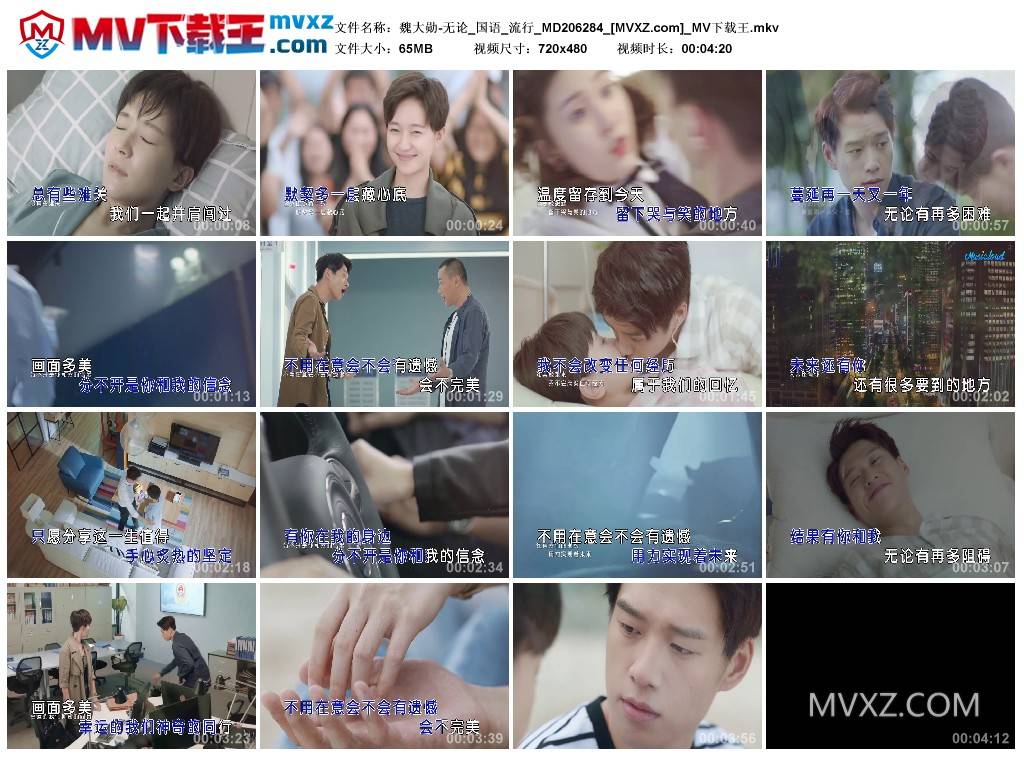 魏大勋-无论_国语_流行_MD206284